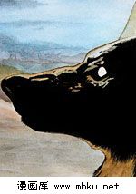 �����ڸ������